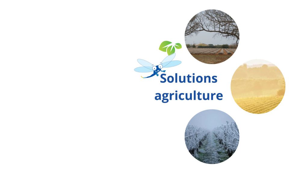 Les champs en hiver avec un titre Solutions Agriculture