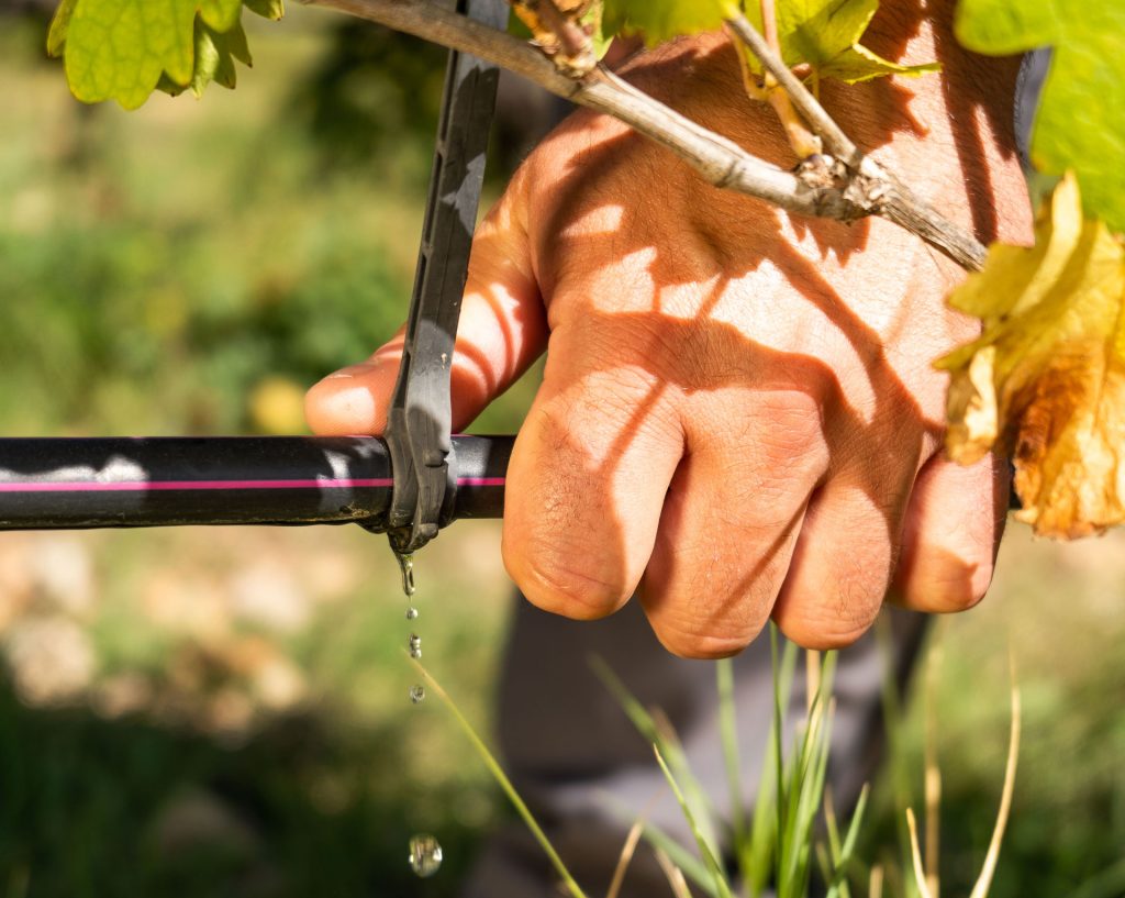 Pose de goutte à goutte pour une irrigation optimisée