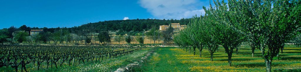 Verger provençal