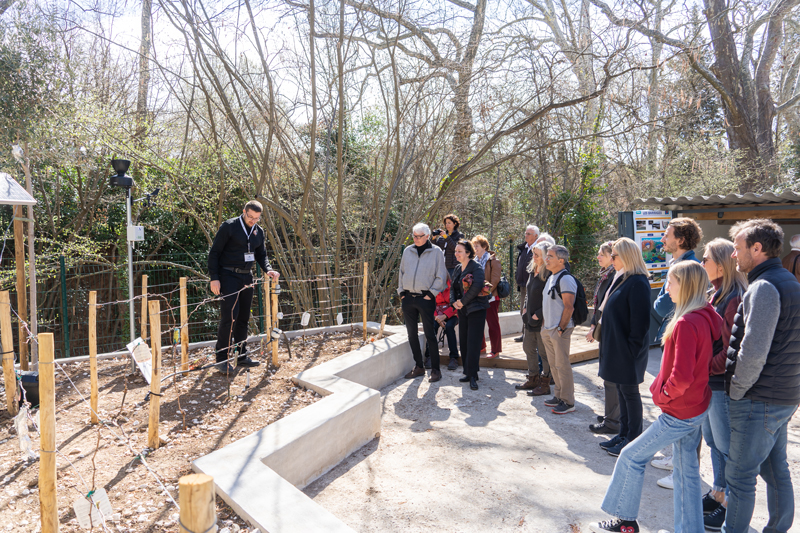 atelier patrimoine