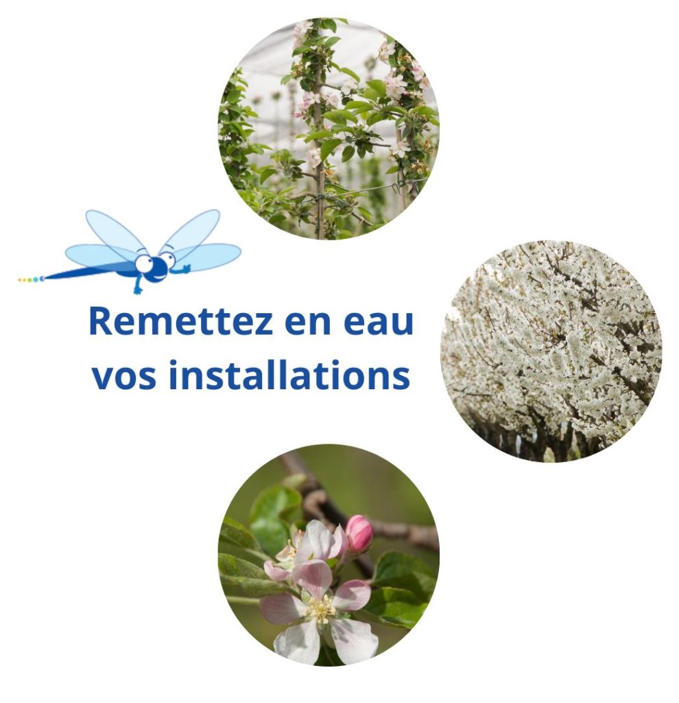 Remise en eau des installations