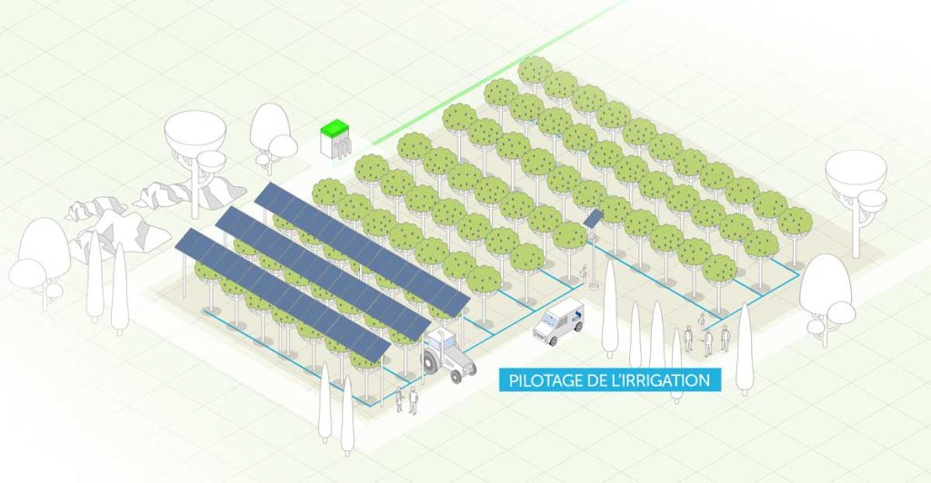 Schéma agrivoltaïsme