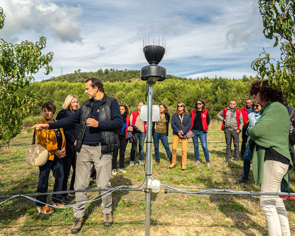 Station agrométéorologique connectée SCP installée sur une parcelle de pêchers à La Thomassine – Vergers et jardins conservatoires – Crédit photo SCP