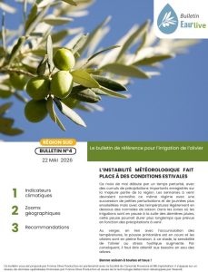 bulletin N°4