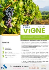 bulletin EAU&VIGNE6