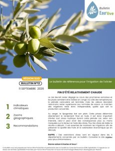Bulletin Eau'live numéro 12