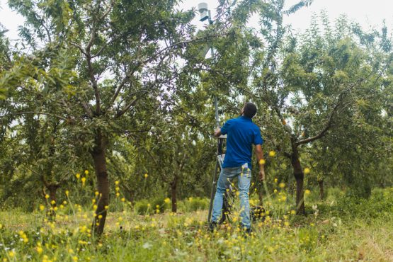 Accompagnement pour l'optimisation de l'irrigation